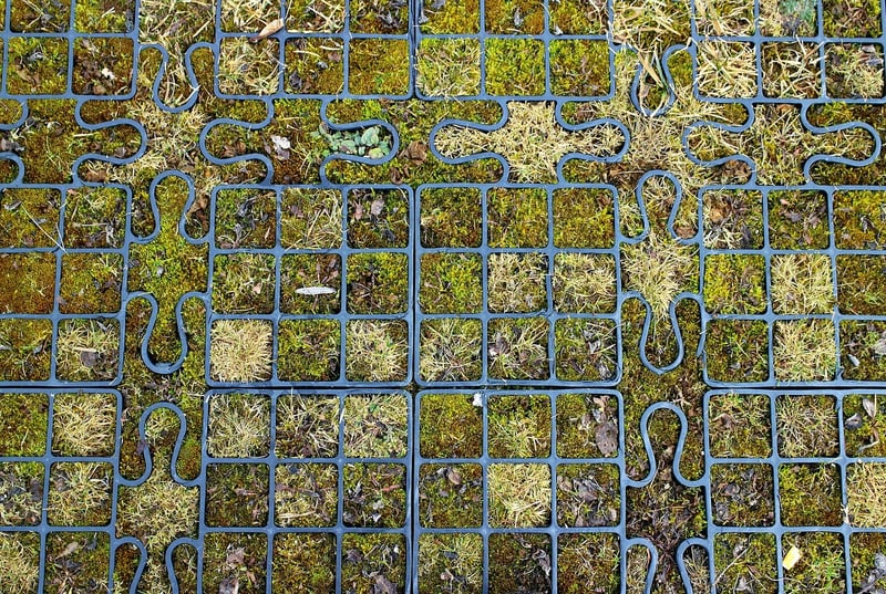Shared Gardens